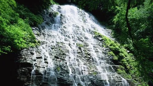 高标准节能信息化